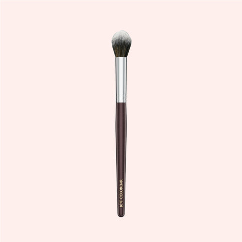 107F Highlighter & Powder Brush